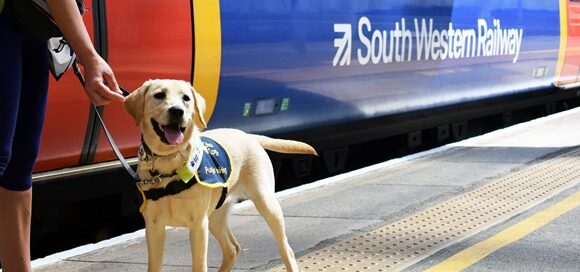 Round of a paws for guide dogs puppies training with SWR